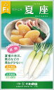 夏座 20ml 大根 ダイコン だいこん