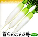春らんまん2号 20ml 大根 ダイコン だいこん 武蔵野交配