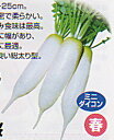 若桜 20ml 大根 ダイコン だいこん 渡辺交配