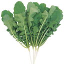 鮮菜(葉大根) 2dl 大根 ダイコン だいこん 武蔵野交配