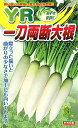YR一刀両断 700粒 大根 ダイコン だいこん