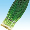 ジャワ夏 2dl 葱 ネギ ねぎ 中原採種場