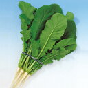 万緑 2dl 大根 ダイコン だいこん F1 中原採種場