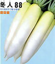 冬人88(ふゆと) 20ml 大根 ダイコン だいこん