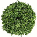 ノッチグリーングラス Lコート1000粒 レタス