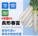 長形春富 20ml 大根 ダイコン だいこん
