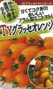 TYグラッセプラス オレンジ 100粒 トマト とまと 蕃茄