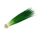 ブラックアロー 2dl 葱 ネギ ねぎ