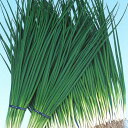 黒若 2dl 葱 ネギ ねぎ