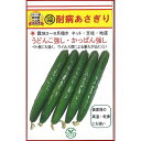 耐病あさぎり 350粒 胡瓜 キュウリ きゅうり