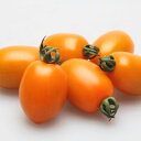 キャンドルライト 100粒 トマト とまと 蕃茄