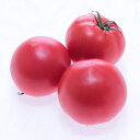 愛夏(MST-1323) 100粒 トマト とまと 蕃茄 武蔵野交配