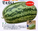 でぇらい 50粒 スイカ すいか 西瓜