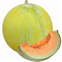 白皮　キューピット 100粒 めろん メロン 舐瓜