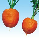 ラブリーキャロット 2dl ニンジン にんじん 人参 中原採種場