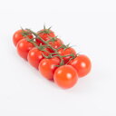 グリーントーソ 100粒 カクテルトマト品種 トマト とまと 蕃茄