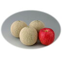 てまりうた 100粒 めろん メロン 舐瓜 ヤエ交配