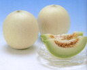 グラバー 100粒 めろん メロン 舐瓜 ヤエ交配