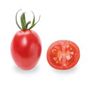 PRIMAX アナ ミニトマト PRIMAX100粒 トマト とまと 蕃茄