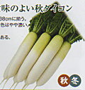 夢岬(全日本そ菜原種審査会 1等特別賞受賞) 10000粒 大根 ダイコン だいこん 渡辺交配