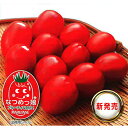 なつめっ娘Rクリスピー 100粒 トマト とまと 蕃茄 宇治交配