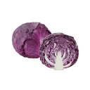 紫丸 20ml キャベツ