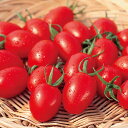 アイコ トマト ペレット200粒 トマト とまと 蕃茄