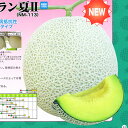 緑肉　アールスムーラン夏2 100粒 めろん メロン 舐瓜
