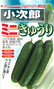 小次郎 100粒 胡瓜 キュウリ きゅうり小次郎 100粒