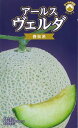 アールスヴェルダ 春秋系 メロン 100粒 めろん メロン 舐瓜