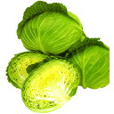 ひなの 2500粒 キャベツ