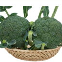 ルミナス BL-652 2000粒 ブロッコリー