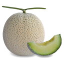 アールスヴェルダ 初夏系 メロン 100粒 めろん メロン 舐瓜