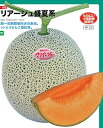 赤肉　マリアージュ盛夏系 100粒 めろん メロン 舐瓜