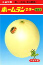 ホームランスター改良系 100粒 めろん メロン 舐瓜
