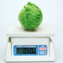 爽月2号 20ml キャベツ