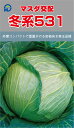 冬系531甘藍 3000粒 キャベツ 甘藍 かんらん カンラン