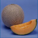 ラブミー5号 100粒 めろん メロン 舐瓜