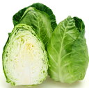 ユニコーン(KAK-825) 2500粒 キャベツ