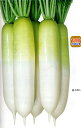 冬美人 ペレット5000粒 大根 ダイコン だいこん