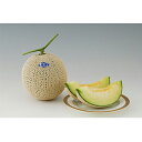 ミラノ秋冬1 100粒 めろん メロン 舐瓜 ヤエ交配