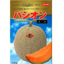 パシオン秋冬系 100粒 メロン めろん