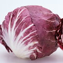 レッドストーン ペレット1000粒 レタス