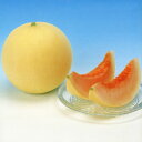 アカプルコ 100粒 めろん メロン 舐瓜