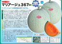 マリアージュ367 100粒 めろん メロン 舐瓜