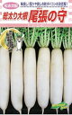 尾張の守 3Lコート5000粒 大根 ダイコン だいこん 松永交配