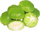 YR優緑 (ゆうりょく) 2500粒詰 キャベツ 宇治交配