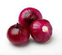 ルヴァン(赤玉ねぎ) 1dl 玉ねぎ たまねぎ 玉葱 タマネギ 渡辺交配