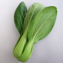 レイロン(麗龍) ペレット5000粒 ちんげんさい 青梗菜