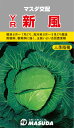 YR新風甘藍 3000粒 キャベツ 甘藍 かんらん カンラン